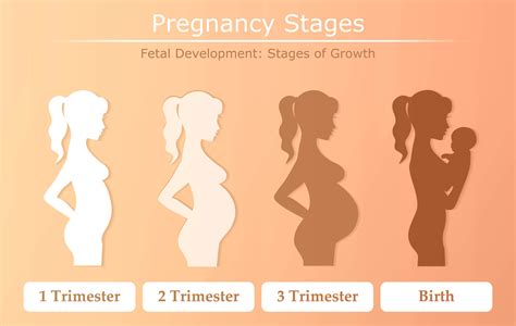 The Significance of Dreams During the Early Stages of Pregnancy