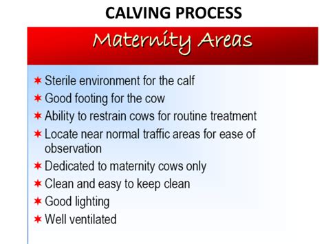 The Significance of Dreams depicting the Calving Process