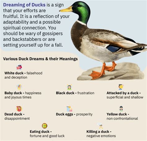 The Significance of Duck Dreams: Decoding Their Interpretation