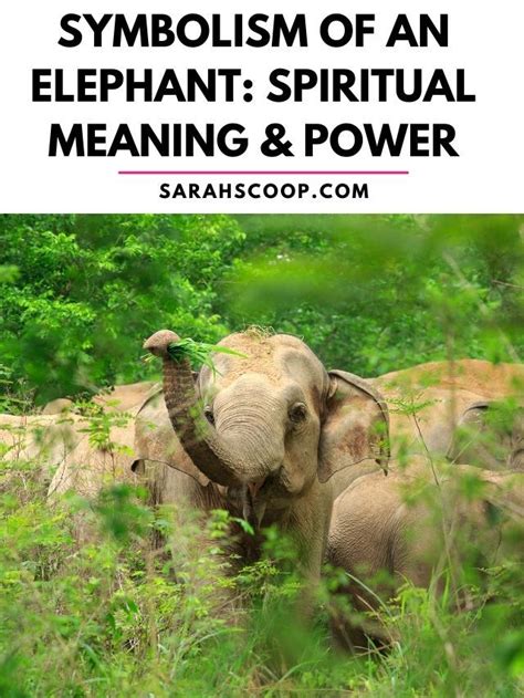 The Significance of Elephants in Spiritual and Mythological Beliefs