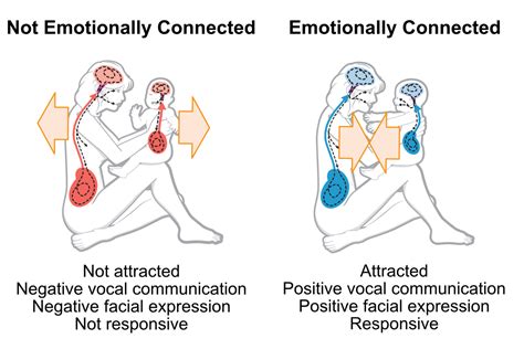 The Significance of Emotional Connections: How Former Romances Resurface in our Dreams