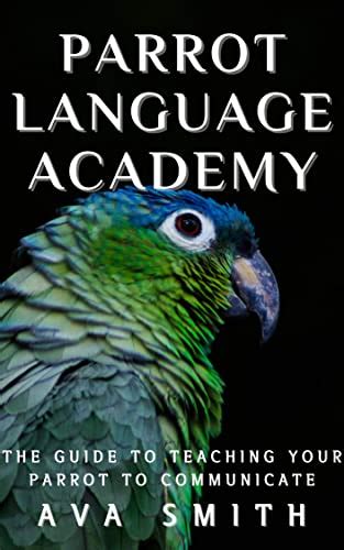 The Significance of Environment in Promoting Parrot Communication: Establishing a Language-Enriched Surroundings