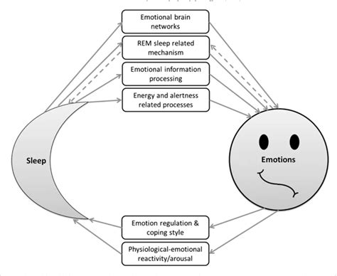 The Significance of Fear in the Processing of Emotions during Sleep