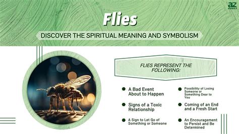 The Significance of Flies in Different Cultures and Traditions