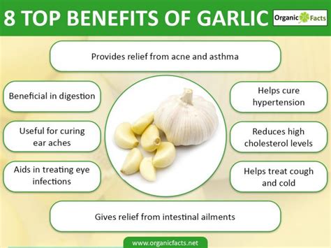 The Significance of Garlic in Interpreting the Psyche during Sleep