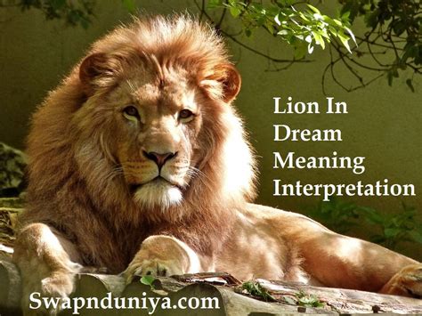 The Significance of Lion Symbolism in Dreams