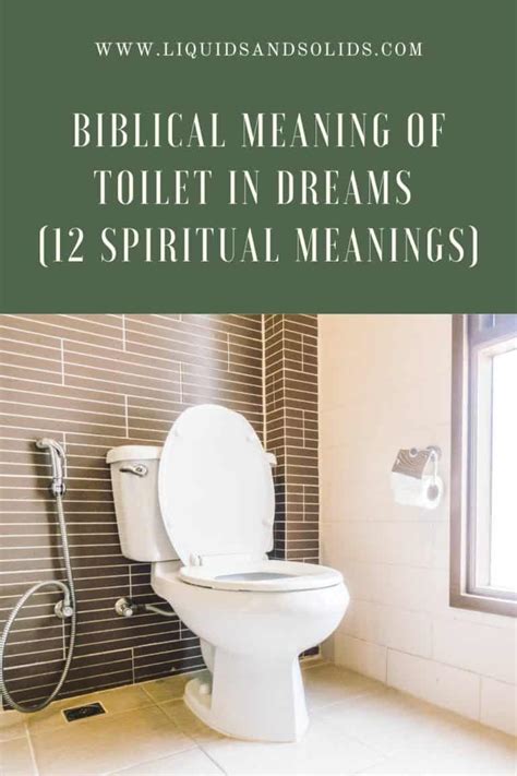 The Significance of Mindful Existence: Analyzing the Spiritual Connection in Toilet Dreams