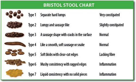 The Significance of Monitoring Your Baby's Bowel Movements