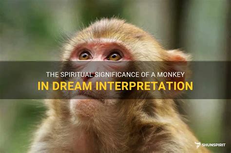 The Significance of Monkey Behavior in Dreams