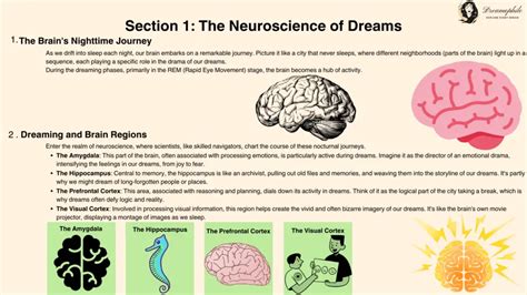 The Significance of Neuroscience in Analyzing Dream Patterns