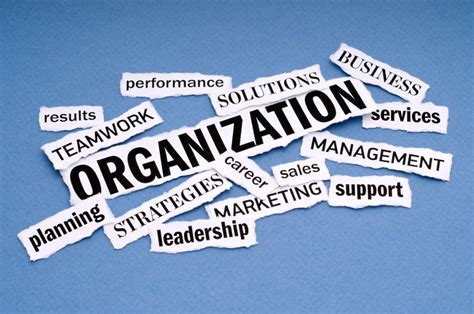 The Significance of Organization in Everyday Life