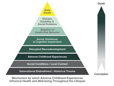 The Significance of Personal Experiences and External Influences in Dreams Related to Substance Use