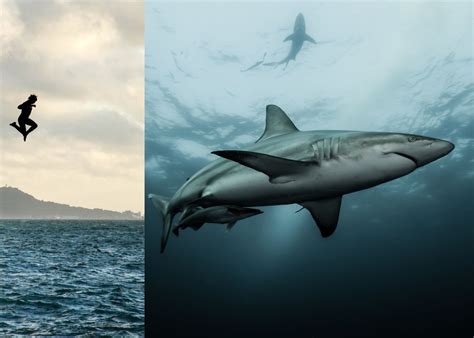 The Significance of Personal Experiences in Dreams of Venturing into Shark-Infested Waters