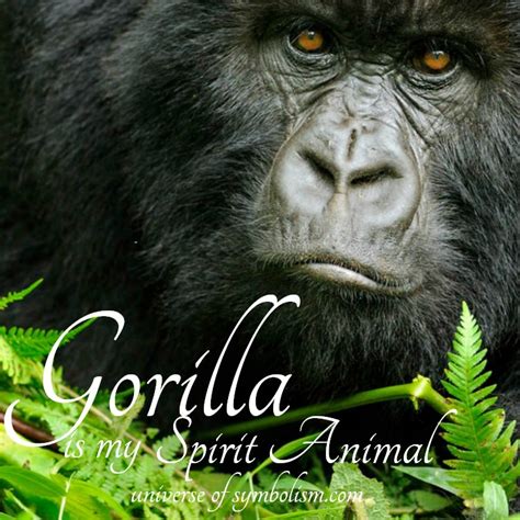 The Significance of Personal Experiences in Shaping the Significance of Gorilla Demise in Dreams