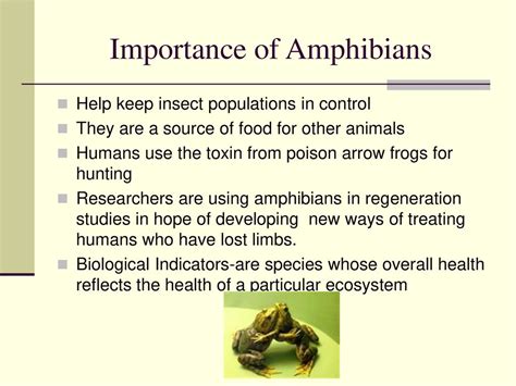 The Significance of Preserving Amphibian Populations