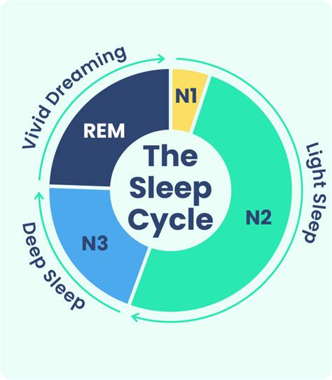 The Significance of REM Sleep in Dream Formation