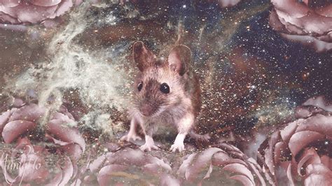 The Significance of Rats and Mice in Dreams: Unveiling Insights into Anxieties and Insecurities