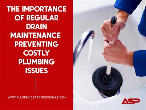 The Significance of Regular Drain Maintenance