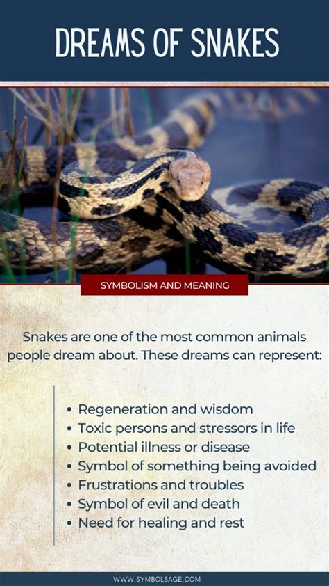 The Significance of Regurgitation in Snake Dreams