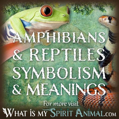 The Significance of Reptiles and Amphibians in Dreams