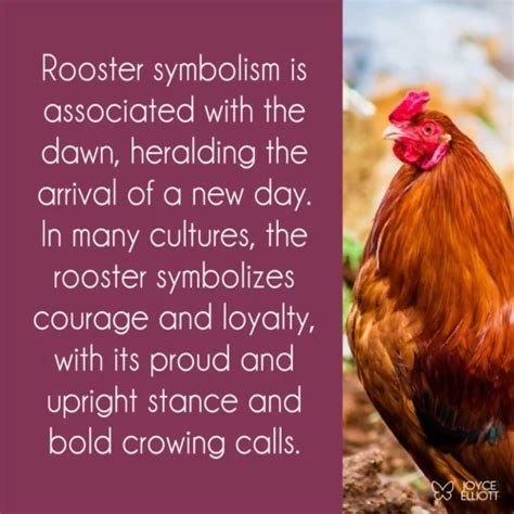 The Significance of Roosters in Interpreting Dreams across Various Cultural Contexts