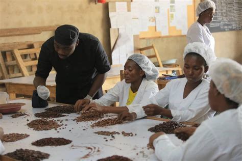 The Significance of Selecting a Premium Cocoa