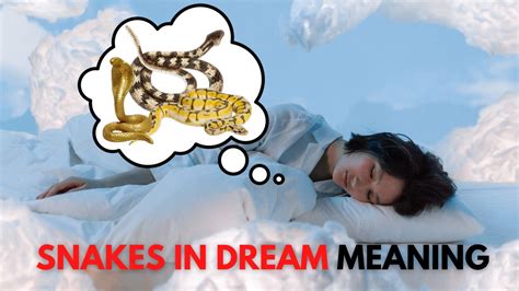 The Significance of Snake Dreams in the Early Hours