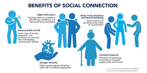 The Significance of Social Connections in Human Life