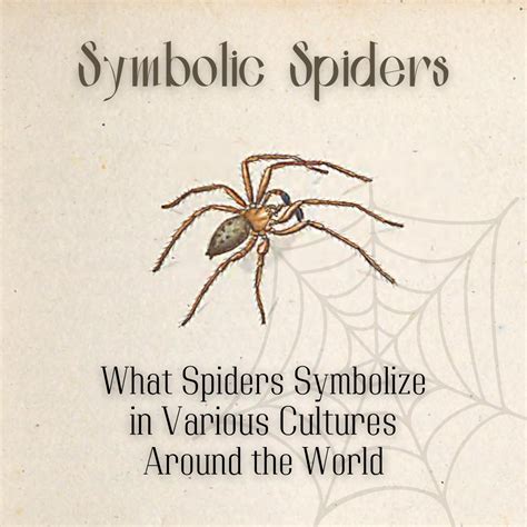 The Significance of Spiders in Culture and Mythology