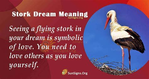 The Significance of Stork Bird in Dreams: Decoding Its Symbolism and Interpretation