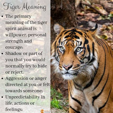 The Significance of Tigers in Spiritual and Mythological Beliefs