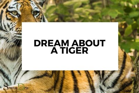 The Significance of Tigers in one's Dreams