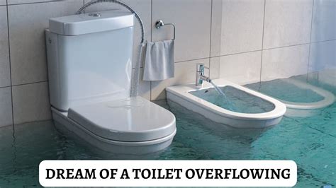 The Significance of Toilet Overflowing Dreams