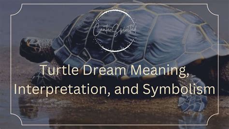 The Significance of Turtles in Dream Interpretation