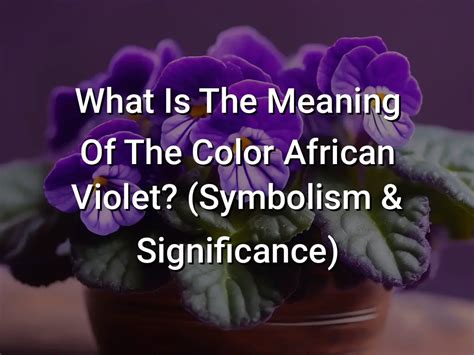 The Significance of Violet Atmospheres in various Cultures and Religions