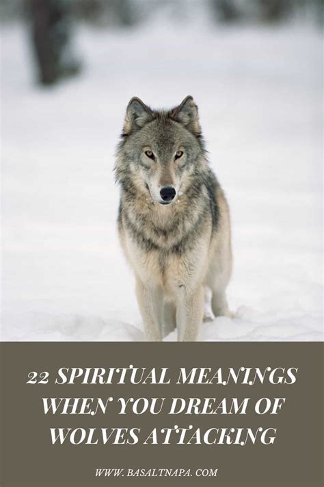 The Significance of Wolves in the Symbolic Realm of Dreams