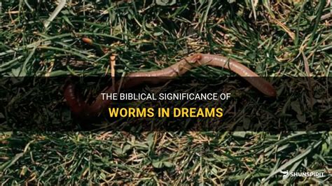 The Significance of Worms in Dreams: A Cultural and Historical Perspective