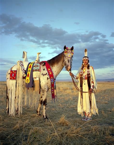 The Significance of a Dappled Equine in Historic Native American Culture