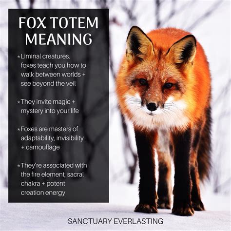 The Significance of a Fox's Intrusion into Your Abode