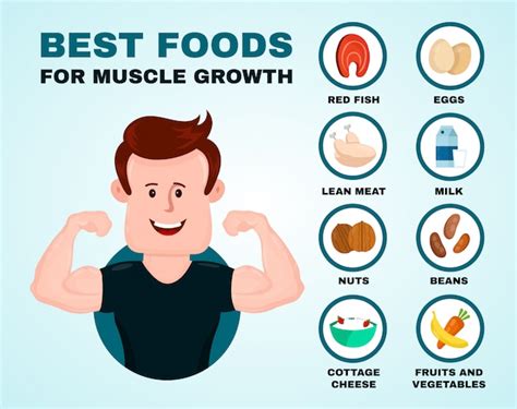 The Significance of a Proper Diet for Developing Muscles