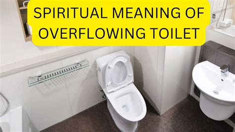 The Significance of a Vanishing Toilet