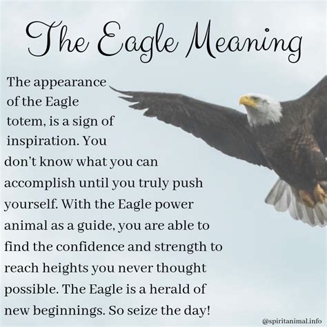 The Significance of the Bald Eagle as a Symbol of Power and Strength