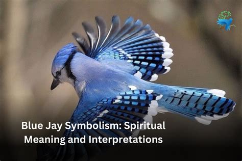 The Significance of the Blue Jay's Cry in Interpretation of Dreams