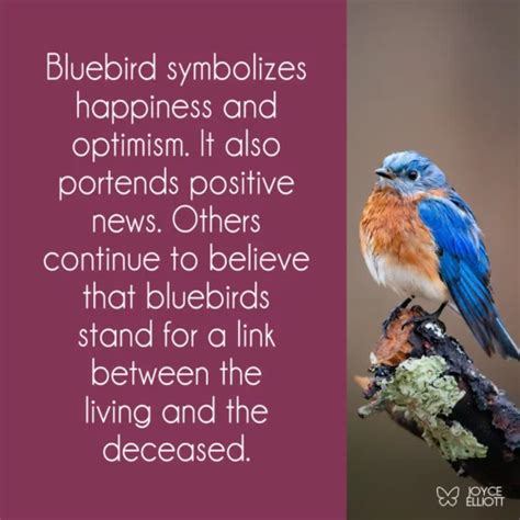 The Significance of the Bluebird in Literature and Art: An Extensive Exploration