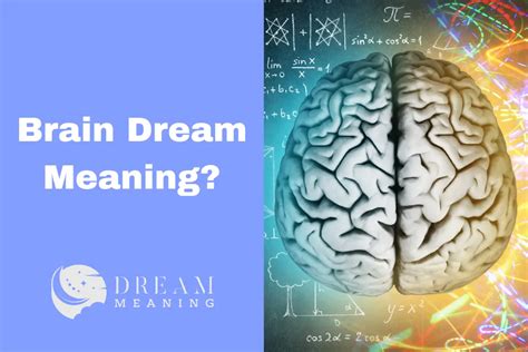 The Significance of the Brain Symbolism in Dreams