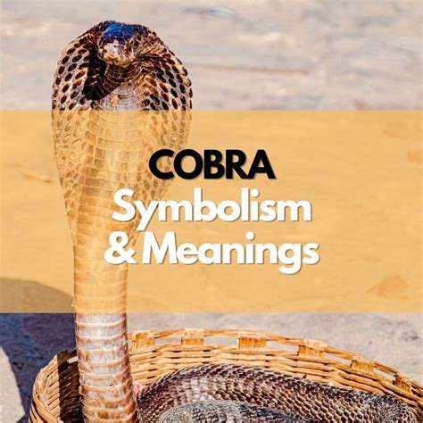 The Significance of the Cobra Symbol