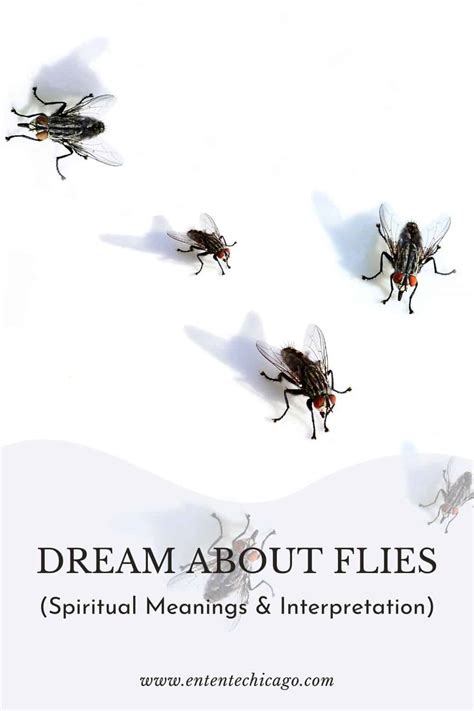 The Significance of the Fly Symbol in Dreams