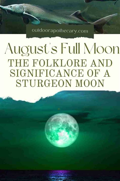 The Significance of the Moon in Ancient Legends and Folklore