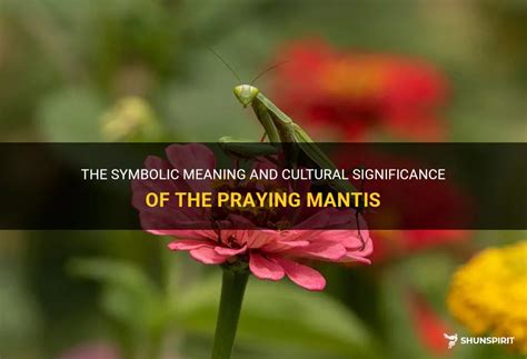 The Significance of the Praying Mantis in Different Cultures