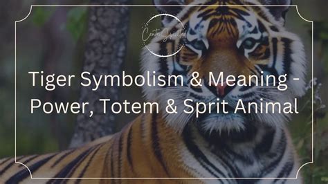 The Significance of the Tiger's Symbolism